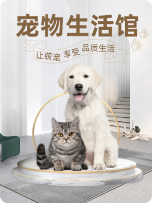寵物設(shè)計(jì)模板圖片